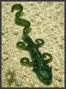 Diesel Dawg 3.25 inch soft plastic salamander bait in natural color - bass and walleye fishing 