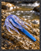 Nemertea 3.5-inch soft plastic stick bait with a skirt 
