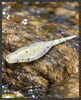 Skitter Minnow 2.5-inch soft plastic fishing lure with a tapered tail